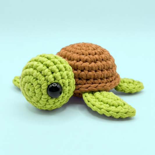 Oliver the Sea Turtle