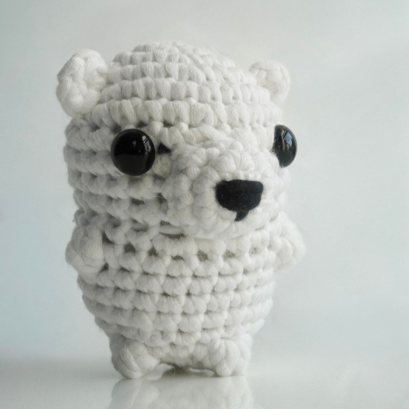 Koda the Polar Bear: Loopling for the Arctic