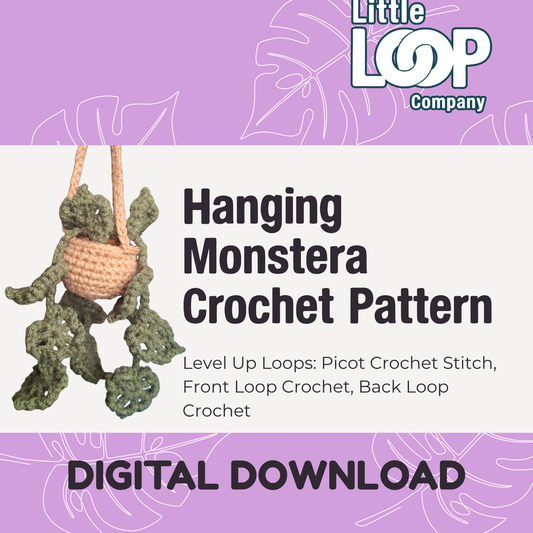 Hanging Monstera Plant - Digital Download Crochet Pattern