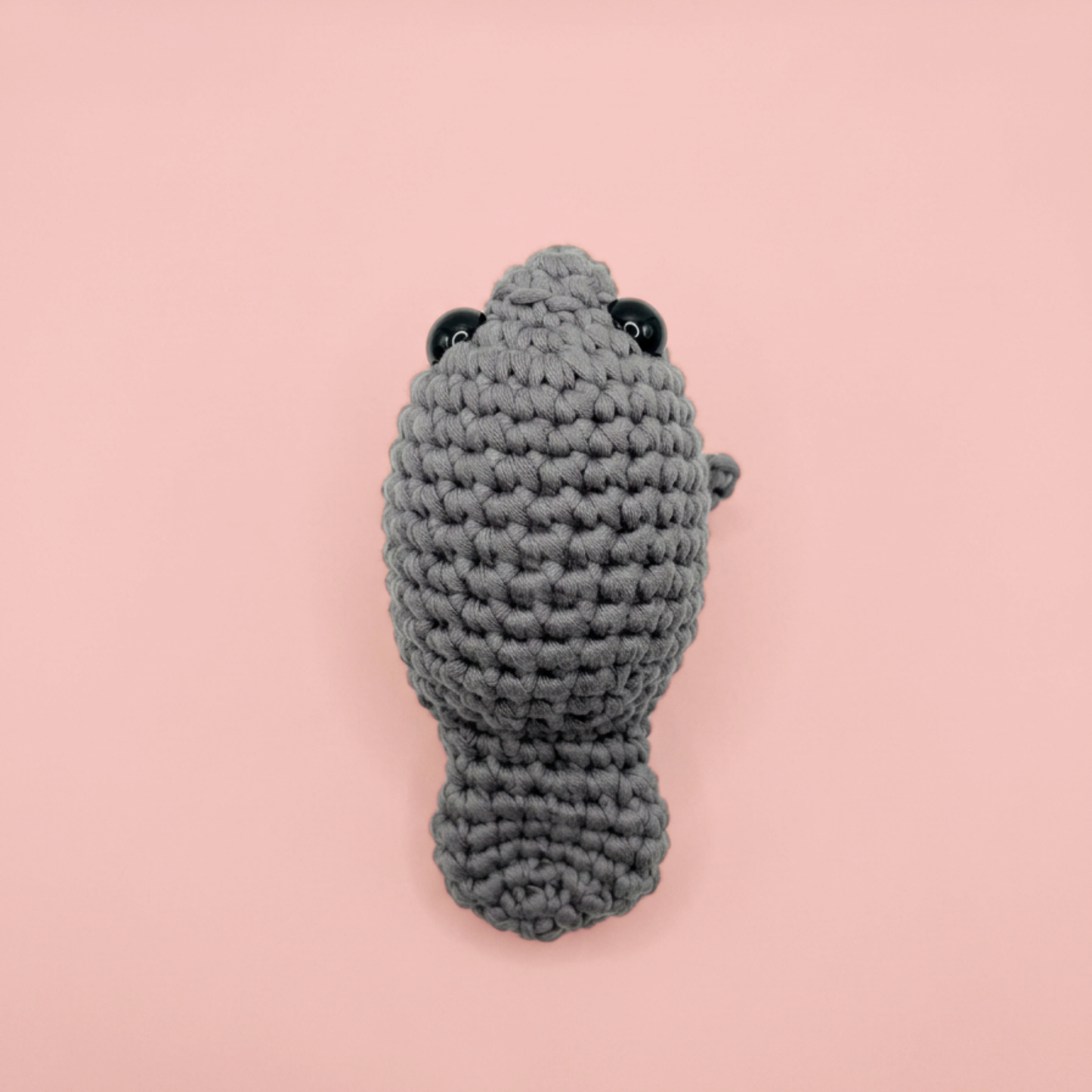 Milo the Manatee Crochet Kit | Beginner Crochet Kit | Supports Manatee Conservation